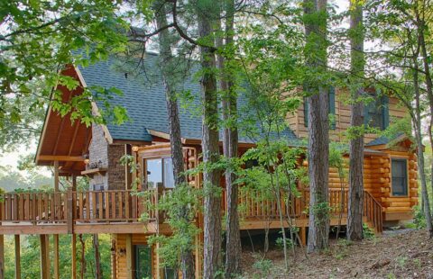 Our product showcases a serene log cabin nestled amidst the tranquil beauty of a lush, wooded environment.