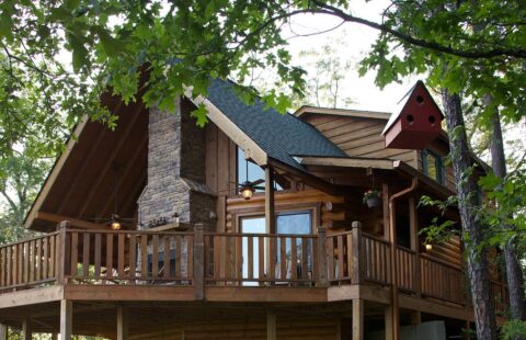 The image showcases one of our beautifully crafted log homes nestled peacefully amidst lush green woods.