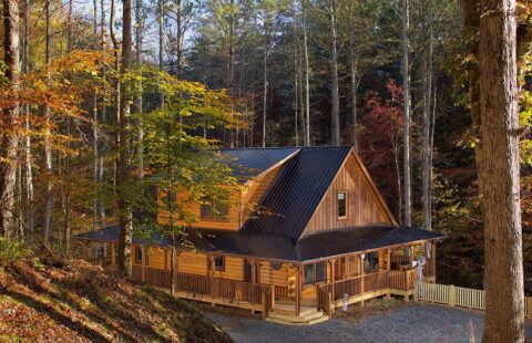 The image features a beautifully crafted log cabin nestled amidst serene woodland scenery.