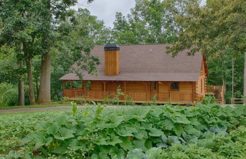 The image showcases one of our intricately designed log cabins nestled beautifully within a serene, densely wooded area.