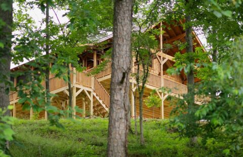 Our log home stands as a tranquil sanctuary nestled amidst a verdant expanse of towering trees.
