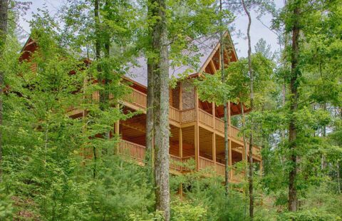 Our company beautifully crafts log homes, like this stunning cabin nestled quietly amongst a serene forest setting.