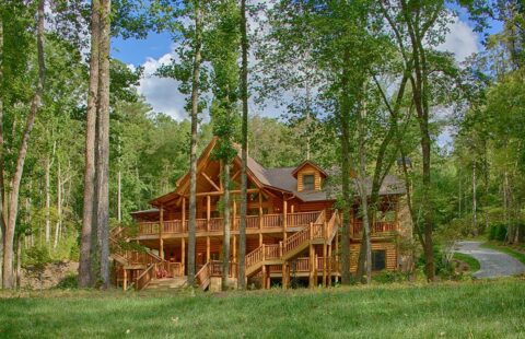 Our product highlights a sizeable log cabin nestled beautifully within a serene woodland setting.