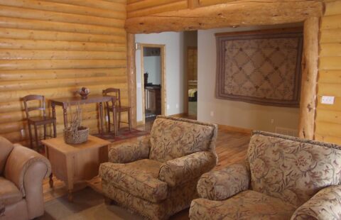 The image showcases a cozy and inviting living room nestled inside one of our expertly crafted log cabins.