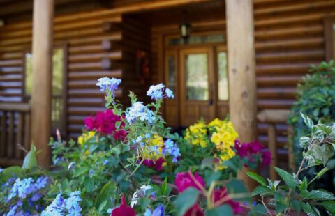 The image showcases a charming log cabin beautifully adorned with blossom-filled flower beds in front.